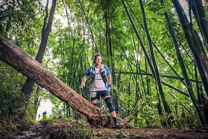 BIB: 
                            <button type="button" onclick="openModal(15933455)" class="btn btn-primary btn-sm float-right btn-popup" data-toggle="modal" data-target=".modal-high-quality">
                        <i class="fas fa-shopping-cart"></i> Add to Cart
                    </button>
                                            <button type="button" onclick="isThisMe(15933455, true)" class="btn btn-success btn-sm float-right btn-popup btn-isme hidden" data-toggle="tooltip" data-placement="bottom" title="นี่คือรูปของคุณใช่ไหม คลิกที่นี่เพื่อเอาเข้าอัลบั้ม">
                        <i class="fas fa-plus"></i> Add to album
                    </button>
                    <button type="button" onclick="isThisMe(15933455, false)" class="btn btn-warning btn-sm float-right btn-popup btn-isnotme hidden">
                        <i class="fas fa-ban"></i> Remove from album
                    </button>