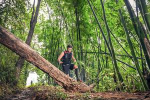 BIB: 
                            <button type="button" onclick="openModal(15932491)" class="btn btn-primary btn-sm float-right btn-popup" data-toggle="modal" data-target=".modal-high-quality">
                        <i class="fas fa-shopping-cart"></i> Add to Cart
                    </button>
                                            <button type="button" onclick="isThisMe(15932491, true)" class="btn btn-success btn-sm float-right btn-popup btn-isme hidden" data-toggle="tooltip" data-placement="bottom" title="นี่คือรูปของคุณใช่ไหม คลิกที่นี่เพื่อเอาเข้าอัลบั้ม">
                        <i class="fas fa-plus"></i> Add to album
                    </button>
                    <button type="button" onclick="isThisMe(15932491, false)" class="btn btn-warning btn-sm float-right btn-popup btn-isnotme hidden">
                        <i class="fas fa-ban"></i> Remove from album
                    </button>