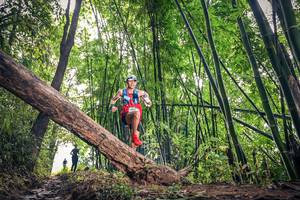 BIB: , 1038
                            <button type="button" onclick="openModal(15932742)" class="btn btn-primary btn-sm float-right btn-popup" data-toggle="modal" data-target=".modal-high-quality">
                        <i class="fas fa-shopping-cart"></i> Add to Cart
                    </button>
                                            <button type="button" onclick="isThisMe(15932742, true)" class="btn btn-success btn-sm float-right btn-popup btn-isme hidden" data-toggle="tooltip" data-placement="bottom" title="นี่คือรูปของคุณใช่ไหม คลิกที่นี่เพื่อเอาเข้าอัลบั้ม">
                        <i class="fas fa-plus"></i> Add to album
                    </button>
                    <button type="button" onclick="isThisMe(15932742, false)" class="btn btn-warning btn-sm float-right btn-popup btn-isnotme hidden">
                        <i class="fas fa-ban"></i> Remove from album
                    </button>