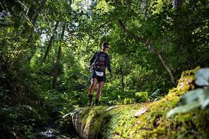 BIB: , 5175
                            <button type="button" onclick="openModal(15939778)" class="btn btn-primary btn-sm float-right btn-popup" data-toggle="modal" data-target=".modal-high-quality">
                        <i class="fas fa-shopping-cart"></i> Add to Cart
                    </button>
                                            <button type="button" onclick="isThisMe(15939778, true)" class="btn btn-success btn-sm float-right btn-popup btn-isme hidden" data-toggle="tooltip" data-placement="bottom" title="นี่คือรูปของคุณใช่ไหม คลิกที่นี่เพื่อเอาเข้าอัลบั้ม">
                        <i class="fas fa-plus"></i> Add to album
                    </button>
                    <button type="button" onclick="isThisMe(15939778, false)" class="btn btn-warning btn-sm float-right btn-popup btn-isnotme hidden">
                        <i class="fas fa-ban"></i> Remove from album
                    </button>