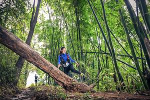 BIB: 
                            <button type="button" onclick="openModal(15932930)" class="btn btn-primary btn-sm float-right btn-popup" data-toggle="modal" data-target=".modal-high-quality">
                        <i class="fas fa-shopping-cart"></i> Add to Cart
                    </button>
                                            <button type="button" onclick="isThisMe(15932930, true)" class="btn btn-success btn-sm float-right btn-popup btn-isme hidden" data-toggle="tooltip" data-placement="bottom" title="นี่คือรูปของคุณใช่ไหม คลิกที่นี่เพื่อเอาเข้าอัลบั้ม">
                        <i class="fas fa-plus"></i> Add to album
                    </button>
                    <button type="button" onclick="isThisMe(15932930, false)" class="btn btn-warning btn-sm float-right btn-popup btn-isnotme hidden">
                        <i class="fas fa-ban"></i> Remove from album
                    </button>