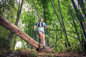 BIB: 1733
                            <button type="button" onclick="openModal(15932503)" class="btn btn-primary btn-sm float-right btn-popup" data-toggle="modal" data-target=".modal-high-quality">
                        <i class="fas fa-shopping-cart"></i> Add to Cart
                    </button>
                                            <button type="button" onclick="isThisMe(15932503, true)" class="btn btn-success btn-sm float-right btn-popup btn-isme hidden" data-toggle="tooltip" data-placement="bottom" title="นี่คือรูปของคุณใช่ไหม คลิกที่นี่เพื่อเอาเข้าอัลบั้ม">
                        <i class="fas fa-plus"></i> Add to album
                    </button>
                    <button type="button" onclick="isThisMe(15932503, false)" class="btn btn-warning btn-sm float-right btn-popup btn-isnotme hidden">
                        <i class="fas fa-ban"></i> Remove from album
                    </button>