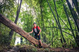 BIB: 
                            <button type="button" onclick="openModal(15934449)" class="btn btn-primary btn-sm float-right btn-popup" data-toggle="modal" data-target=".modal-high-quality">
                        <i class="fas fa-shopping-cart"></i> Add to Cart
                    </button>
                                            <button type="button" onclick="isThisMe(15934449, true)" class="btn btn-success btn-sm float-right btn-popup btn-isme hidden" data-toggle="tooltip" data-placement="bottom" title="นี่คือรูปของคุณใช่ไหม คลิกที่นี่เพื่อเอาเข้าอัลบั้ม">
                        <i class="fas fa-plus"></i> Add to album
                    </button>
                    <button type="button" onclick="isThisMe(15934449, false)" class="btn btn-warning btn-sm float-right btn-popup btn-isnotme hidden">
                        <i class="fas fa-ban"></i> Remove from album
                    </button>