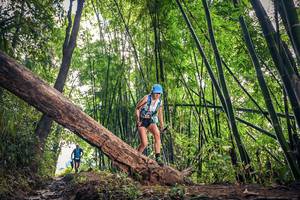 BIB: 
                            <button type="button" onclick="openModal(15934294)" class="btn btn-primary btn-sm float-right btn-popup" data-toggle="modal" data-target=".modal-high-quality">
                        <i class="fas fa-shopping-cart"></i> Add to Cart
                    </button>
                                            <button type="button" onclick="isThisMe(15934294, true)" class="btn btn-success btn-sm float-right btn-popup btn-isme hidden" data-toggle="tooltip" data-placement="bottom" title="นี่คือรูปของคุณใช่ไหม คลิกที่นี่เพื่อเอาเข้าอัลบั้ม">
                        <i class="fas fa-plus"></i> Add to album
                    </button>
                    <button type="button" onclick="isThisMe(15934294, false)" class="btn btn-warning btn-sm float-right btn-popup btn-isnotme hidden">
                        <i class="fas fa-ban"></i> Remove from album
                    </button>