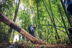 BIB: 
                            <button type="button" onclick="openModal(15934566)" class="btn btn-primary btn-sm float-right btn-popup" data-toggle="modal" data-target=".modal-high-quality">
                        <i class="fas fa-shopping-cart"></i> Add to Cart
                    </button>
                                            <button type="button" onclick="isThisMe(15934566, true)" class="btn btn-success btn-sm float-right btn-popup btn-isme hidden" data-toggle="tooltip" data-placement="bottom" title="นี่คือรูปของคุณใช่ไหม คลิกที่นี่เพื่อเอาเข้าอัลบั้ม">
                        <i class="fas fa-plus"></i> Add to album
                    </button>
                    <button type="button" onclick="isThisMe(15934566, false)" class="btn btn-warning btn-sm float-right btn-popup btn-isnotme hidden">
                        <i class="fas fa-ban"></i> Remove from album
                    </button>