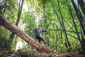 BIB: 
                            <button type="button" onclick="openModal(15935003)" class="btn btn-primary btn-sm float-right btn-popup" data-toggle="modal" data-target=".modal-high-quality">
                        <i class="fas fa-shopping-cart"></i> Add to Cart
                    </button>
                                            <button type="button" onclick="isThisMe(15935003, true)" class="btn btn-success btn-sm float-right btn-popup btn-isme hidden" data-toggle="tooltip" data-placement="bottom" title="นี่คือรูปของคุณใช่ไหม คลิกที่นี่เพื่อเอาเข้าอัลบั้ม">
                        <i class="fas fa-plus"></i> Add to album
                    </button>
                    <button type="button" onclick="isThisMe(15935003, false)" class="btn btn-warning btn-sm float-right btn-popup btn-isnotme hidden">
                        <i class="fas fa-ban"></i> Remove from album
                    </button>