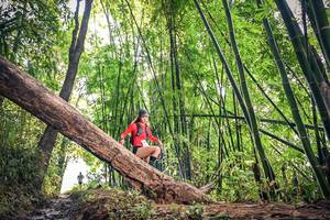 BIB: 
                            <button type="button" onclick="openModal(15934622)" class="btn btn-primary btn-sm float-right btn-popup" data-toggle="modal" data-target=".modal-high-quality">
                        <i class="fas fa-shopping-cart"></i> Add to Cart
                    </button>
                                            <button type="button" onclick="isThisMe(15934622, true)" class="btn btn-success btn-sm float-right btn-popup btn-isme hidden" data-toggle="tooltip" data-placement="bottom" title="นี่คือรูปของคุณใช่ไหม คลิกที่นี่เพื่อเอาเข้าอัลบั้ม">
                        <i class="fas fa-plus"></i> Add to album
                    </button>
                    <button type="button" onclick="isThisMe(15934622, false)" class="btn btn-warning btn-sm float-right btn-popup btn-isnotme hidden">
                        <i class="fas fa-ban"></i> Remove from album
                    </button>