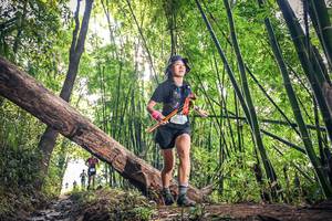 BIB: 
                            <button type="button" onclick="openModal(15934969)" class="btn btn-primary btn-sm float-right btn-popup" data-toggle="modal" data-target=".modal-high-quality">
                        <i class="fas fa-shopping-cart"></i> Add to Cart
                    </button>
                                            <button type="button" onclick="isThisMe(15934969, true)" class="btn btn-success btn-sm float-right btn-popup btn-isme hidden" data-toggle="tooltip" data-placement="bottom" title="นี่คือรูปของคุณใช่ไหม คลิกที่นี่เพื่อเอาเข้าอัลบั้ม">
                        <i class="fas fa-plus"></i> Add to album
                    </button>
                    <button type="button" onclick="isThisMe(15934969, false)" class="btn btn-warning btn-sm float-right btn-popup btn-isnotme hidden">
                        <i class="fas fa-ban"></i> Remove from album
                    </button>