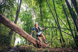 BIB: 1150
                            <button type="button" onclick="openModal(15934645)" class="btn btn-primary btn-sm float-right btn-popup" data-toggle="modal" data-target=".modal-high-quality">
                        <i class="fas fa-shopping-cart"></i> Add to Cart
                    </button>
                                            <button type="button" onclick="isThisMe(15934645, true)" class="btn btn-success btn-sm float-right btn-popup btn-isme hidden" data-toggle="tooltip" data-placement="bottom" title="นี่คือรูปของคุณใช่ไหม คลิกที่นี่เพื่อเอาเข้าอัลบั้ม">
                        <i class="fas fa-plus"></i> Add to album
                    </button>
                    <button type="button" onclick="isThisMe(15934645, false)" class="btn btn-warning btn-sm float-right btn-popup btn-isnotme hidden">
                        <i class="fas fa-ban"></i> Remove from album
                    </button>