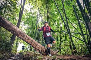 BIB: 1341
                            <button type="button" onclick="openModal(15935031)" class="btn btn-primary btn-sm float-right btn-popup" data-toggle="modal" data-target=".modal-high-quality">
                        <i class="fas fa-shopping-cart"></i> Add to Cart
                    </button>
                                            <button type="button" onclick="isThisMe(15935031, true)" class="btn btn-success btn-sm float-right btn-popup btn-isme hidden" data-toggle="tooltip" data-placement="bottom" title="นี่คือรูปของคุณใช่ไหม คลิกที่นี่เพื่อเอาเข้าอัลบั้ม">
                        <i class="fas fa-plus"></i> Add to album
                    </button>
                    <button type="button" onclick="isThisMe(15935031, false)" class="btn btn-warning btn-sm float-right btn-popup btn-isnotme hidden">
                        <i class="fas fa-ban"></i> Remove from album
                    </button>