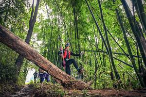 BIB: , 140
                            <button type="button" onclick="openModal(15933604)" class="btn btn-primary btn-sm float-right btn-popup" data-toggle="modal" data-target=".modal-high-quality">
                        <i class="fas fa-shopping-cart"></i> Add to Cart
                    </button>
                                            <button type="button" onclick="isThisMe(15933604, true)" class="btn btn-success btn-sm float-right btn-popup btn-isme hidden" data-toggle="tooltip" data-placement="bottom" title="นี่คือรูปของคุณใช่ไหม คลิกที่นี่เพื่อเอาเข้าอัลบั้ม">
                        <i class="fas fa-plus"></i> Add to album
                    </button>
                    <button type="button" onclick="isThisMe(15933604, false)" class="btn btn-warning btn-sm float-right btn-popup btn-isnotme hidden">
                        <i class="fas fa-ban"></i> Remove from album
                    </button>