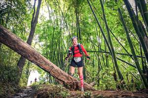 BIB: , 1224
                            <button type="button" onclick="openModal(15934621)" class="btn btn-primary btn-sm float-right btn-popup" data-toggle="modal" data-target=".modal-high-quality">
                        <i class="fas fa-shopping-cart"></i> Add to Cart
                    </button>
                                            <button type="button" onclick="isThisMe(15934621, true)" class="btn btn-success btn-sm float-right btn-popup btn-isme hidden" data-toggle="tooltip" data-placement="bottom" title="นี่คือรูปของคุณใช่ไหม คลิกที่นี่เพื่อเอาเข้าอัลบั้ม">
                        <i class="fas fa-plus"></i> Add to album
                    </button>
                    <button type="button" onclick="isThisMe(15934621, false)" class="btn btn-warning btn-sm float-right btn-popup btn-isnotme hidden">
                        <i class="fas fa-ban"></i> Remove from album
                    </button>