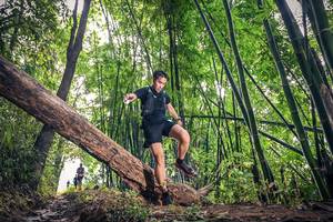 BIB: 
                            <button type="button" onclick="openModal(15932736)" class="btn btn-primary btn-sm float-right btn-popup" data-toggle="modal" data-target=".modal-high-quality">
                        <i class="fas fa-shopping-cart"></i> Add to Cart
                    </button>
                                            <button type="button" onclick="isThisMe(15932736, true)" class="btn btn-success btn-sm float-right btn-popup btn-isme hidden" data-toggle="tooltip" data-placement="bottom" title="นี่คือรูปของคุณใช่ไหม คลิกที่นี่เพื่อเอาเข้าอัลบั้ม">
                        <i class="fas fa-plus"></i> Add to album
                    </button>
                    <button type="button" onclick="isThisMe(15932736, false)" class="btn btn-warning btn-sm float-right btn-popup btn-isnotme hidden">
                        <i class="fas fa-ban"></i> Remove from album
                    </button>