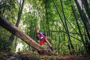 BIB: 694
                            <button type="button" onclick="openModal(15933380)" class="btn btn-primary btn-sm float-right btn-popup" data-toggle="modal" data-target=".modal-high-quality">
                        <i class="fas fa-shopping-cart"></i> Add to Cart
                    </button>
                                            <button type="button" onclick="isThisMe(15933380, true)" class="btn btn-success btn-sm float-right btn-popup btn-isme hidden" data-toggle="tooltip" data-placement="bottom" title="นี่คือรูปของคุณใช่ไหม คลิกที่นี่เพื่อเอาเข้าอัลบั้ม">
                        <i class="fas fa-plus"></i> Add to album
                    </button>
                    <button type="button" onclick="isThisMe(15933380, false)" class="btn btn-warning btn-sm float-right btn-popup btn-isnotme hidden">
                        <i class="fas fa-ban"></i> Remove from album
                    </button>