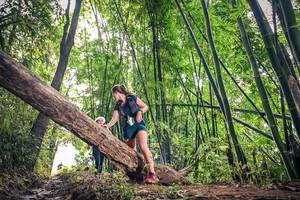 BIB: 
                            <button type="button" onclick="openModal(15932978)" class="btn btn-primary btn-sm float-right btn-popup" data-toggle="modal" data-target=".modal-high-quality">
                        <i class="fas fa-shopping-cart"></i> Add to Cart
                    </button>
                                            <button type="button" onclick="isThisMe(15932978, true)" class="btn btn-success btn-sm float-right btn-popup btn-isme hidden" data-toggle="tooltip" data-placement="bottom" title="นี่คือรูปของคุณใช่ไหม คลิกที่นี่เพื่อเอาเข้าอัลบั้ม">
                        <i class="fas fa-plus"></i> Add to album
                    </button>
                    <button type="button" onclick="isThisMe(15932978, false)" class="btn btn-warning btn-sm float-right btn-popup btn-isnotme hidden">
                        <i class="fas fa-ban"></i> Remove from album
                    </button>