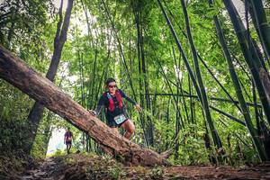 BIB: , 1646
                            <button type="button" onclick="openModal(15933637)" class="btn btn-primary btn-sm float-right btn-popup" data-toggle="modal" data-target=".modal-high-quality">
                        <i class="fas fa-shopping-cart"></i> Add to Cart
                    </button>
                                            <button type="button" onclick="isThisMe(15933637, true)" class="btn btn-success btn-sm float-right btn-popup btn-isme hidden" data-toggle="tooltip" data-placement="bottom" title="นี่คือรูปของคุณใช่ไหม คลิกที่นี่เพื่อเอาเข้าอัลบั้ม">
                        <i class="fas fa-plus"></i> Add to album
                    </button>
                    <button type="button" onclick="isThisMe(15933637, false)" class="btn btn-warning btn-sm float-right btn-popup btn-isnotme hidden">
                        <i class="fas fa-ban"></i> Remove from album
                    </button>