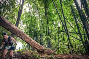 BIB: 
                            <button type="button" onclick="openModal(15933612)" class="btn btn-primary btn-sm float-right btn-popup" data-toggle="modal" data-target=".modal-high-quality">
                        <i class="fas fa-shopping-cart"></i> Add to Cart
                    </button>
                                            <button type="button" onclick="isThisMe(15933612, true)" class="btn btn-success btn-sm float-right btn-popup btn-isme hidden" data-toggle="tooltip" data-placement="bottom" title="นี่คือรูปของคุณใช่ไหม คลิกที่นี่เพื่อเอาเข้าอัลบั้ม">
                        <i class="fas fa-plus"></i> Add to album
                    </button>
                    <button type="button" onclick="isThisMe(15933612, false)" class="btn btn-warning btn-sm float-right btn-popup btn-isnotme hidden">
                        <i class="fas fa-ban"></i> Remove from album
                    </button>