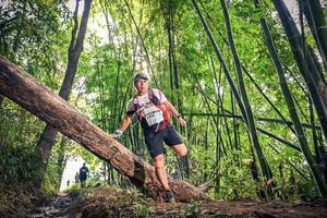 BIB: , 1336
                            <button type="button" onclick="openModal(15934744)" class="btn btn-primary btn-sm float-right btn-popup" data-toggle="modal" data-target=".modal-high-quality">
                        <i class="fas fa-shopping-cart"></i> Add to Cart
                    </button>
                                            <button type="button" onclick="isThisMe(15934744, true)" class="btn btn-success btn-sm float-right btn-popup btn-isme hidden" data-toggle="tooltip" data-placement="bottom" title="นี่คือรูปของคุณใช่ไหม คลิกที่นี่เพื่อเอาเข้าอัลบั้ม">
                        <i class="fas fa-plus"></i> Add to album
                    </button>
                    <button type="button" onclick="isThisMe(15934744, false)" class="btn btn-warning btn-sm float-right btn-popup btn-isnotme hidden">
                        <i class="fas fa-ban"></i> Remove from album
                    </button>