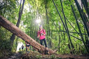 BIB: 1625
                            <button type="button" onclick="openModal(15934724)" class="btn btn-primary btn-sm float-right btn-popup" data-toggle="modal" data-target=".modal-high-quality">
                        <i class="fas fa-shopping-cart"></i> Add to Cart
                    </button>
                                            <button type="button" onclick="isThisMe(15934724, true)" class="btn btn-success btn-sm float-right btn-popup btn-isme hidden" data-toggle="tooltip" data-placement="bottom" title="นี่คือรูปของคุณใช่ไหม คลิกที่นี่เพื่อเอาเข้าอัลบั้ม">
                        <i class="fas fa-plus"></i> Add to album
                    </button>
                    <button type="button" onclick="isThisMe(15934724, false)" class="btn btn-warning btn-sm float-right btn-popup btn-isnotme hidden">
                        <i class="fas fa-ban"></i> Remove from album
                    </button>