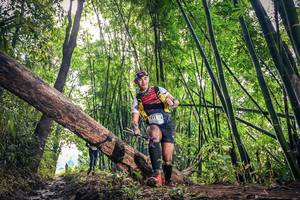 BIB: 1211
                            <button type="button" onclick="openModal(15934498)" class="btn btn-primary btn-sm float-right btn-popup" data-toggle="modal" data-target=".modal-high-quality">
                        <i class="fas fa-shopping-cart"></i> Add to Cart
                    </button>
                                            <button type="button" onclick="isThisMe(15934498, true)" class="btn btn-success btn-sm float-right btn-popup btn-isme hidden" data-toggle="tooltip" data-placement="bottom" title="นี่คือรูปของคุณใช่ไหม คลิกที่นี่เพื่อเอาเข้าอัลบั้ม">
                        <i class="fas fa-plus"></i> Add to album
                    </button>
                    <button type="button" onclick="isThisMe(15934498, false)" class="btn btn-warning btn-sm float-right btn-popup btn-isnotme hidden">
                        <i class="fas fa-ban"></i> Remove from album
                    </button>