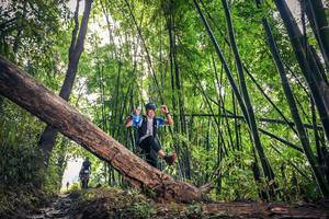 BIB: 
                            <button type="button" onclick="openModal(15934329)" class="btn btn-primary btn-sm float-right btn-popup" data-toggle="modal" data-target=".modal-high-quality">
                        <i class="fas fa-shopping-cart"></i> Add to Cart
                    </button>
                                            <button type="button" onclick="isThisMe(15934329, true)" class="btn btn-success btn-sm float-right btn-popup btn-isme hidden" data-toggle="tooltip" data-placement="bottom" title="นี่คือรูปของคุณใช่ไหม คลิกที่นี่เพื่อเอาเข้าอัลบั้ม">
                        <i class="fas fa-plus"></i> Add to album
                    </button>
                    <button type="button" onclick="isThisMe(15934329, false)" class="btn btn-warning btn-sm float-right btn-popup btn-isnotme hidden">
                        <i class="fas fa-ban"></i> Remove from album
                    </button>