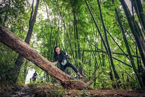 BIB: 
                            <button type="button" onclick="openModal(15933548)" class="btn btn-primary btn-sm float-right btn-popup" data-toggle="modal" data-target=".modal-high-quality">
                        <i class="fas fa-shopping-cart"></i> Add to Cart
                    </button>
                                            <button type="button" onclick="isThisMe(15933548, true)" class="btn btn-success btn-sm float-right btn-popup btn-isme hidden" data-toggle="tooltip" data-placement="bottom" title="นี่คือรูปของคุณใช่ไหม คลิกที่นี่เพื่อเอาเข้าอัลบั้ม">
                        <i class="fas fa-plus"></i> Add to album
                    </button>
                    <button type="button" onclick="isThisMe(15933548, false)" class="btn btn-warning btn-sm float-right btn-popup btn-isnotme hidden">
                        <i class="fas fa-ban"></i> Remove from album
                    </button>