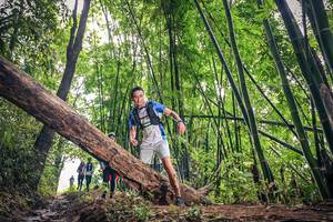 BIB: 1625
                            <button type="button" onclick="openModal(15933664)" class="btn btn-primary btn-sm float-right btn-popup" data-toggle="modal" data-target=".modal-high-quality">
                        <i class="fas fa-shopping-cart"></i> Add to Cart
                    </button>
                                            <button type="button" onclick="isThisMe(15933664, true)" class="btn btn-success btn-sm float-right btn-popup btn-isme hidden" data-toggle="tooltip" data-placement="bottom" title="นี่คือรูปของคุณใช่ไหม คลิกที่นี่เพื่อเอาเข้าอัลบั้ม">
                        <i class="fas fa-plus"></i> Add to album
                    </button>
                    <button type="button" onclick="isThisMe(15933664, false)" class="btn btn-warning btn-sm float-right btn-popup btn-isnotme hidden">
                        <i class="fas fa-ban"></i> Remove from album
                    </button>