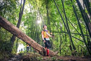 BIB: 126
                            <button type="button" onclick="openModal(15934766)" class="btn btn-primary btn-sm float-right btn-popup" data-toggle="modal" data-target=".modal-high-quality">
                        <i class="fas fa-shopping-cart"></i> Add to Cart
                    </button>
                                            <button type="button" onclick="isThisMe(15934766, true)" class="btn btn-success btn-sm float-right btn-popup btn-isme hidden" data-toggle="tooltip" data-placement="bottom" title="นี่คือรูปของคุณใช่ไหม คลิกที่นี่เพื่อเอาเข้าอัลบั้ม">
                        <i class="fas fa-plus"></i> Add to album
                    </button>
                    <button type="button" onclick="isThisMe(15934766, false)" class="btn btn-warning btn-sm float-right btn-popup btn-isnotme hidden">
                        <i class="fas fa-ban"></i> Remove from album
                    </button>