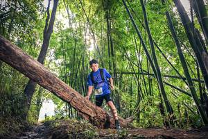 BIB: 1735
                            <button type="button" onclick="openModal(15934824)" class="btn btn-primary btn-sm float-right btn-popup" data-toggle="modal" data-target=".modal-high-quality">
                        <i class="fas fa-shopping-cart"></i> Add to Cart
                    </button>
                                            <button type="button" onclick="isThisMe(15934824, true)" class="btn btn-success btn-sm float-right btn-popup btn-isme hidden" data-toggle="tooltip" data-placement="bottom" title="นี่คือรูปของคุณใช่ไหม คลิกที่นี่เพื่อเอาเข้าอัลบั้ม">
                        <i class="fas fa-plus"></i> Add to album
                    </button>
                    <button type="button" onclick="isThisMe(15934824, false)" class="btn btn-warning btn-sm float-right btn-popup btn-isnotme hidden">
                        <i class="fas fa-ban"></i> Remove from album
                    </button>