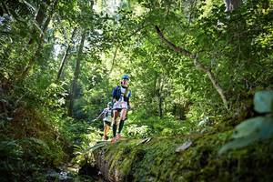 BIB: 5111, 5082
                            <button type="button" onclick="openModal(15938994)" class="btn btn-primary btn-sm float-right btn-popup" data-toggle="modal" data-target=".modal-high-quality">
                        <i class="fas fa-shopping-cart"></i> Add to Cart
                    </button>
                                            <button type="button" onclick="isThisMe(15938994, true)" class="btn btn-success btn-sm float-right btn-popup btn-isme hidden" data-toggle="tooltip" data-placement="bottom" title="นี่คือรูปของคุณใช่ไหม คลิกที่นี่เพื่อเอาเข้าอัลบั้ม">
                        <i class="fas fa-plus"></i> Add to album
                    </button>
                    <button type="button" onclick="isThisMe(15938994, false)" class="btn btn-warning btn-sm float-right btn-popup btn-isnotme hidden">
                        <i class="fas fa-ban"></i> Remove from album
                    </button>