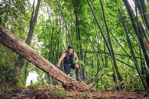 BIB: 
                            <button type="button" onclick="openModal(15932492)" class="btn btn-primary btn-sm float-right btn-popup" data-toggle="modal" data-target=".modal-high-quality">
                        <i class="fas fa-shopping-cart"></i> Add to Cart
                    </button>
                                            <button type="button" onclick="isThisMe(15932492, true)" class="btn btn-success btn-sm float-right btn-popup btn-isme hidden" data-toggle="tooltip" data-placement="bottom" title="นี่คือรูปของคุณใช่ไหม คลิกที่นี่เพื่อเอาเข้าอัลบั้ม">
                        <i class="fas fa-plus"></i> Add to album
                    </button>
                    <button type="button" onclick="isThisMe(15932492, false)" class="btn btn-warning btn-sm float-right btn-popup btn-isnotme hidden">
                        <i class="fas fa-ban"></i> Remove from album
                    </button>