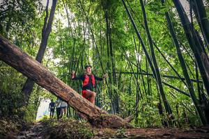 BIB: 
                            <button type="button" onclick="openModal(15933405)" class="btn btn-primary btn-sm float-right btn-popup" data-toggle="modal" data-target=".modal-high-quality">
                        <i class="fas fa-shopping-cart"></i> Add to Cart
                    </button>
                                            <button type="button" onclick="isThisMe(15933405, true)" class="btn btn-success btn-sm float-right btn-popup btn-isme hidden" data-toggle="tooltip" data-placement="bottom" title="นี่คือรูปของคุณใช่ไหม คลิกที่นี่เพื่อเอาเข้าอัลบั้ม">
                        <i class="fas fa-plus"></i> Add to album
                    </button>
                    <button type="button" onclick="isThisMe(15933405, false)" class="btn btn-warning btn-sm float-right btn-popup btn-isnotme hidden">
                        <i class="fas fa-ban"></i> Remove from album
                    </button>