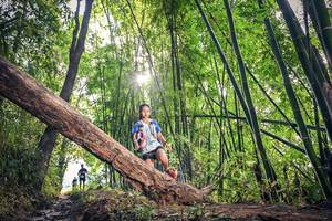 BIB: , 1159, 159
                            <button type="button" onclick="openModal(15934773)" class="btn btn-primary btn-sm float-right btn-popup" data-toggle="modal" data-target=".modal-high-quality">
                        <i class="fas fa-shopping-cart"></i> Add to Cart
                    </button>
                                            <button type="button" onclick="isThisMe(15934773, true)" class="btn btn-success btn-sm float-right btn-popup btn-isme hidden" data-toggle="tooltip" data-placement="bottom" title="นี่คือรูปของคุณใช่ไหม คลิกที่นี่เพื่อเอาเข้าอัลบั้ม">
                        <i class="fas fa-plus"></i> Add to album
                    </button>
                    <button type="button" onclick="isThisMe(15934773, false)" class="btn btn-warning btn-sm float-right btn-popup btn-isnotme hidden">
                        <i class="fas fa-ban"></i> Remove from album
                    </button>