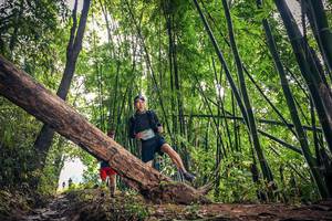 BIB: 770
                            <button type="button" onclick="openModal(15933369)" class="btn btn-primary btn-sm float-right btn-popup" data-toggle="modal" data-target=".modal-high-quality">
                        <i class="fas fa-shopping-cart"></i> Add to Cart
                    </button>
                                            <button type="button" onclick="isThisMe(15933369, true)" class="btn btn-success btn-sm float-right btn-popup btn-isme hidden" data-toggle="tooltip" data-placement="bottom" title="นี่คือรูปของคุณใช่ไหม คลิกที่นี่เพื่อเอาเข้าอัลบั้ม">
                        <i class="fas fa-plus"></i> Add to album
                    </button>
                    <button type="button" onclick="isThisMe(15933369, false)" class="btn btn-warning btn-sm float-right btn-popup btn-isnotme hidden">
                        <i class="fas fa-ban"></i> Remove from album
                    </button>