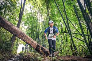 BIB: 1192
                            <button type="button" onclick="openModal(15934986)" class="btn btn-primary btn-sm float-right btn-popup" data-toggle="modal" data-target=".modal-high-quality">
                        <i class="fas fa-shopping-cart"></i> Add to Cart
                    </button>
                                            <button type="button" onclick="isThisMe(15934986, true)" class="btn btn-success btn-sm float-right btn-popup btn-isme hidden" data-toggle="tooltip" data-placement="bottom" title="นี่คือรูปของคุณใช่ไหม คลิกที่นี่เพื่อเอาเข้าอัลบั้ม">
                        <i class="fas fa-plus"></i> Add to album
                    </button>
                    <button type="button" onclick="isThisMe(15934986, false)" class="btn btn-warning btn-sm float-right btn-popup btn-isnotme hidden">
                        <i class="fas fa-ban"></i> Remove from album
                    </button>