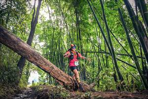 BIB: 1345
                            <button type="button" onclick="openModal(15934512)" class="btn btn-primary btn-sm float-right btn-popup" data-toggle="modal" data-target=".modal-high-quality">
                        <i class="fas fa-shopping-cart"></i> Add to Cart
                    </button>
                                            <button type="button" onclick="isThisMe(15934512, true)" class="btn btn-success btn-sm float-right btn-popup btn-isme hidden" data-toggle="tooltip" data-placement="bottom" title="นี่คือรูปของคุณใช่ไหม คลิกที่นี่เพื่อเอาเข้าอัลบั้ม">
                        <i class="fas fa-plus"></i> Add to album
                    </button>
                    <button type="button" onclick="isThisMe(15934512, false)" class="btn btn-warning btn-sm float-right btn-popup btn-isnotme hidden">
                        <i class="fas fa-ban"></i> Remove from album
                    </button>