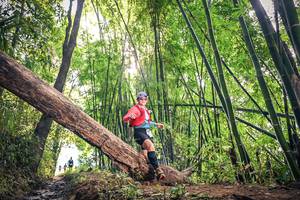 BIB: , 150, 
                            <button type="button" onclick="openModal(15934840)" class="btn btn-primary btn-sm float-right btn-popup" data-toggle="modal" data-target=".modal-high-quality">
                        <i class="fas fa-shopping-cart"></i> Add to Cart
                    </button>
                                            <button type="button" onclick="isThisMe(15934840, true)" class="btn btn-success btn-sm float-right btn-popup btn-isme hidden" data-toggle="tooltip" data-placement="bottom" title="นี่คือรูปของคุณใช่ไหม คลิกที่นี่เพื่อเอาเข้าอัลบั้ม">
                        <i class="fas fa-plus"></i> Add to album
                    </button>
                    <button type="button" onclick="isThisMe(15934840, false)" class="btn btn-warning btn-sm float-right btn-popup btn-isnotme hidden">
                        <i class="fas fa-ban"></i> Remove from album
                    </button>