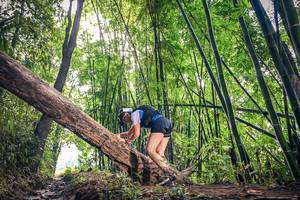 BIB: 
                            <button type="button" onclick="openModal(15934412)" class="btn btn-primary btn-sm float-right btn-popup" data-toggle="modal" data-target=".modal-high-quality">
                        <i class="fas fa-shopping-cart"></i> Add to Cart
                    </button>
                                            <button type="button" onclick="isThisMe(15934412, true)" class="btn btn-success btn-sm float-right btn-popup btn-isme hidden" data-toggle="tooltip" data-placement="bottom" title="นี่คือรูปของคุณใช่ไหม คลิกที่นี่เพื่อเอาเข้าอัลบั้ม">
                        <i class="fas fa-plus"></i> Add to album
                    </button>
                    <button type="button" onclick="isThisMe(15934412, false)" class="btn btn-warning btn-sm float-right btn-popup btn-isnotme hidden">
                        <i class="fas fa-ban"></i> Remove from album
                    </button>