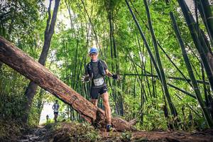 BIB: 1409
                            <button type="button" onclick="openModal(15934700)" class="btn btn-primary btn-sm float-right btn-popup" data-toggle="modal" data-target=".modal-high-quality">
                        <i class="fas fa-shopping-cart"></i> Add to Cart
                    </button>
                                            <button type="button" onclick="isThisMe(15934700, true)" class="btn btn-success btn-sm float-right btn-popup btn-isme hidden" data-toggle="tooltip" data-placement="bottom" title="นี่คือรูปของคุณใช่ไหม คลิกที่นี่เพื่อเอาเข้าอัลบั้ม">
                        <i class="fas fa-plus"></i> Add to album
                    </button>
                    <button type="button" onclick="isThisMe(15934700, false)" class="btn btn-warning btn-sm float-right btn-popup btn-isnotme hidden">
                        <i class="fas fa-ban"></i> Remove from album
                    </button>