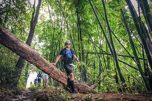 BIB: 
                            <button type="button" onclick="openModal(15933658)" class="btn btn-primary btn-sm float-right btn-popup" data-toggle="modal" data-target=".modal-high-quality">
                        <i class="fas fa-shopping-cart"></i> Add to Cart
                    </button>
                                            <button type="button" onclick="isThisMe(15933658, true)" class="btn btn-success btn-sm float-right btn-popup btn-isme hidden" data-toggle="tooltip" data-placement="bottom" title="นี่คือรูปของคุณใช่ไหม คลิกที่นี่เพื่อเอาเข้าอัลบั้ม">
                        <i class="fas fa-plus"></i> Add to album
                    </button>
                    <button type="button" onclick="isThisMe(15933658, false)" class="btn btn-warning btn-sm float-right btn-popup btn-isnotme hidden">
                        <i class="fas fa-ban"></i> Remove from album
                    </button>