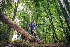 BIB: 1516
                            <button type="button" onclick="openModal(15932840)" class="btn btn-primary btn-sm float-right btn-popup" data-toggle="modal" data-target=".modal-high-quality">
                        <i class="fas fa-shopping-cart"></i> Add to Cart
                    </button>
                                            <button type="button" onclick="isThisMe(15932840, true)" class="btn btn-success btn-sm float-right btn-popup btn-isme hidden" data-toggle="tooltip" data-placement="bottom" title="นี่คือรูปของคุณใช่ไหม คลิกที่นี่เพื่อเอาเข้าอัลบั้ม">
                        <i class="fas fa-plus"></i> Add to album
                    </button>
                    <button type="button" onclick="isThisMe(15932840, false)" class="btn btn-warning btn-sm float-right btn-popup btn-isnotme hidden">
                        <i class="fas fa-ban"></i> Remove from album
                    </button>