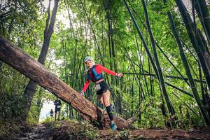 BIB: 
                            <button type="button" onclick="openModal(15934528)" class="btn btn-primary btn-sm float-right btn-popup" data-toggle="modal" data-target=".modal-high-quality">
                        <i class="fas fa-shopping-cart"></i> Add to Cart
                    </button>
                                            <button type="button" onclick="isThisMe(15934528, true)" class="btn btn-success btn-sm float-right btn-popup btn-isme hidden" data-toggle="tooltip" data-placement="bottom" title="นี่คือรูปของคุณใช่ไหม คลิกที่นี่เพื่อเอาเข้าอัลบั้ม">
                        <i class="fas fa-plus"></i> Add to album
                    </button>
                    <button type="button" onclick="isThisMe(15934528, false)" class="btn btn-warning btn-sm float-right btn-popup btn-isnotme hidden">
                        <i class="fas fa-ban"></i> Remove from album
                    </button>