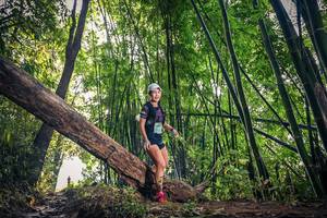 BIB: 1601
                            <button type="button" onclick="openModal(15932687)" class="btn btn-primary btn-sm float-right btn-popup" data-toggle="modal" data-target=".modal-high-quality">
                        <i class="fas fa-shopping-cart"></i> Add to Cart
                    </button>
                                            <button type="button" onclick="isThisMe(15932687, true)" class="btn btn-success btn-sm float-right btn-popup btn-isme hidden" data-toggle="tooltip" data-placement="bottom" title="นี่คือรูปของคุณใช่ไหม คลิกที่นี่เพื่อเอาเข้าอัลบั้ม">
                        <i class="fas fa-plus"></i> Add to album
                    </button>
                    <button type="button" onclick="isThisMe(15932687, false)" class="btn btn-warning btn-sm float-right btn-popup btn-isnotme hidden">
                        <i class="fas fa-ban"></i> Remove from album
                    </button>