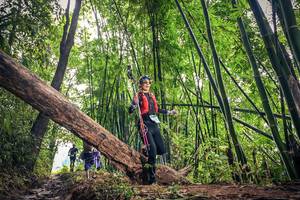 BIB: 1400
                            <button type="button" onclick="openModal(15933603)" class="btn btn-primary btn-sm float-right btn-popup" data-toggle="modal" data-target=".modal-high-quality">
                        <i class="fas fa-shopping-cart"></i> Add to Cart
                    </button>
                                            <button type="button" onclick="isThisMe(15933603, true)" class="btn btn-success btn-sm float-right btn-popup btn-isme hidden" data-toggle="tooltip" data-placement="bottom" title="นี่คือรูปของคุณใช่ไหม คลิกที่นี่เพื่อเอาเข้าอัลบั้ม">
                        <i class="fas fa-plus"></i> Add to album
                    </button>
                    <button type="button" onclick="isThisMe(15933603, false)" class="btn btn-warning btn-sm float-right btn-popup btn-isnotme hidden">
                        <i class="fas fa-ban"></i> Remove from album
                    </button>