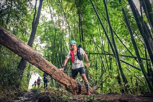 BIB: , 1318
                            <button type="button" onclick="openModal(15934908)" class="btn btn-primary btn-sm float-right btn-popup" data-toggle="modal" data-target=".modal-high-quality">
                        <i class="fas fa-shopping-cart"></i> Add to Cart
                    </button>
                                            <button type="button" onclick="isThisMe(15934908, true)" class="btn btn-success btn-sm float-right btn-popup btn-isme hidden" data-toggle="tooltip" data-placement="bottom" title="นี่คือรูปของคุณใช่ไหม คลิกที่นี่เพื่อเอาเข้าอัลบั้ม">
                        <i class="fas fa-plus"></i> Add to album
                    </button>
                    <button type="button" onclick="isThisMe(15934908, false)" class="btn btn-warning btn-sm float-right btn-popup btn-isnotme hidden">
                        <i class="fas fa-ban"></i> Remove from album
                    </button>