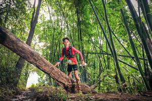 BIB: 
                            <button type="button" onclick="openModal(15932888)" class="btn btn-primary btn-sm float-right btn-popup" data-toggle="modal" data-target=".modal-high-quality">
                        <i class="fas fa-shopping-cart"></i> Add to Cart
                    </button>
                                            <button type="button" onclick="isThisMe(15932888, true)" class="btn btn-success btn-sm float-right btn-popup btn-isme hidden" data-toggle="tooltip" data-placement="bottom" title="นี่คือรูปของคุณใช่ไหม คลิกที่นี่เพื่อเอาเข้าอัลบั้ม">
                        <i class="fas fa-plus"></i> Add to album
                    </button>
                    <button type="button" onclick="isThisMe(15932888, false)" class="btn btn-warning btn-sm float-right btn-popup btn-isnotme hidden">
                        <i class="fas fa-ban"></i> Remove from album
                    </button>