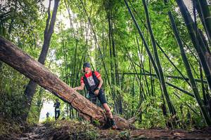 BIB: 
                            <button type="button" onclick="openModal(15934446)" class="btn btn-primary btn-sm float-right btn-popup" data-toggle="modal" data-target=".modal-high-quality">
                        <i class="fas fa-shopping-cart"></i> Add to Cart
                    </button>
                                            <button type="button" onclick="isThisMe(15934446, true)" class="btn btn-success btn-sm float-right btn-popup btn-isme hidden" data-toggle="tooltip" data-placement="bottom" title="นี่คือรูปของคุณใช่ไหม คลิกที่นี่เพื่อเอาเข้าอัลบั้ม">
                        <i class="fas fa-plus"></i> Add to album
                    </button>
                    <button type="button" onclick="isThisMe(15934446, false)" class="btn btn-warning btn-sm float-right btn-popup btn-isnotme hidden">
                        <i class="fas fa-ban"></i> Remove from album
                    </button>