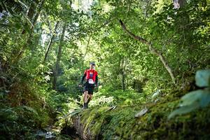 BIB: 5079
                            <button type="button" onclick="openModal(15938948)" class="btn btn-primary btn-sm float-right btn-popup" data-toggle="modal" data-target=".modal-high-quality">
                        <i class="fas fa-shopping-cart"></i> Add to Cart
                    </button>
                                            <button type="button" onclick="isThisMe(15938948, true)" class="btn btn-success btn-sm float-right btn-popup btn-isme hidden" data-toggle="tooltip" data-placement="bottom" title="นี่คือรูปของคุณใช่ไหม คลิกที่นี่เพื่อเอาเข้าอัลบั้ม">
                        <i class="fas fa-plus"></i> Add to album
                    </button>
                    <button type="button" onclick="isThisMe(15938948, false)" class="btn btn-warning btn-sm float-right btn-popup btn-isnotme hidden">
                        <i class="fas fa-ban"></i> Remove from album
                    </button>