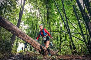 BIB: 1236, 1090
                            <button type="button" onclick="openModal(15934529)" class="btn btn-primary btn-sm float-right btn-popup" data-toggle="modal" data-target=".modal-high-quality">
                        <i class="fas fa-shopping-cart"></i> Add to Cart
                    </button>
                                            <button type="button" onclick="isThisMe(15934529, true)" class="btn btn-success btn-sm float-right btn-popup btn-isme hidden" data-toggle="tooltip" data-placement="bottom" title="นี่คือรูปของคุณใช่ไหม คลิกที่นี่เพื่อเอาเข้าอัลบั้ม">
                        <i class="fas fa-plus"></i> Add to album
                    </button>
                    <button type="button" onclick="isThisMe(15934529, false)" class="btn btn-warning btn-sm float-right btn-popup btn-isnotme hidden">
                        <i class="fas fa-ban"></i> Remove from album
                    </button>