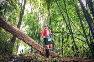 BIB: 1508, 
                            <button type="button" onclick="openModal(15934844)" class="btn btn-primary btn-sm float-right btn-popup" data-toggle="modal" data-target=".modal-high-quality">
                        <i class="fas fa-shopping-cart"></i> Add to Cart
                    </button>
                                            <button type="button" onclick="isThisMe(15934844, true)" class="btn btn-success btn-sm float-right btn-popup btn-isme hidden" data-toggle="tooltip" data-placement="bottom" title="นี่คือรูปของคุณใช่ไหม คลิกที่นี่เพื่อเอาเข้าอัลบั้ม">
                        <i class="fas fa-plus"></i> Add to album
                    </button>
                    <button type="button" onclick="isThisMe(15934844, false)" class="btn btn-warning btn-sm float-right btn-popup btn-isnotme hidden">
                        <i class="fas fa-ban"></i> Remove from album
                    </button>